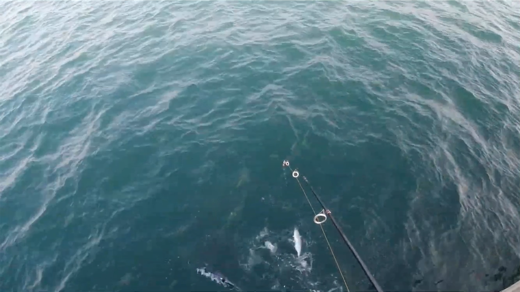 f:id:dreadnote666:20201214103915p:image