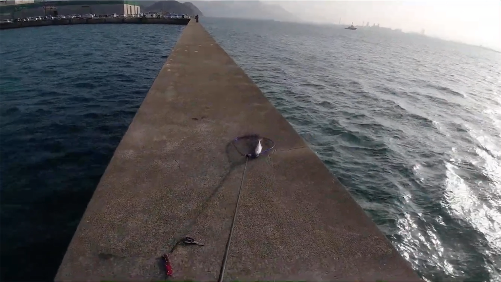 f:id:dreadnote666:20201214104012p:image