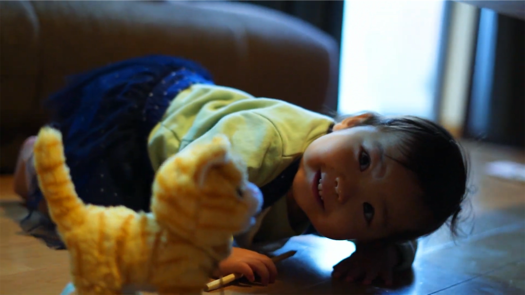 f:id:dreadnote666:20201222100746p:image f:id:dreadnote666:20201222100746p:image