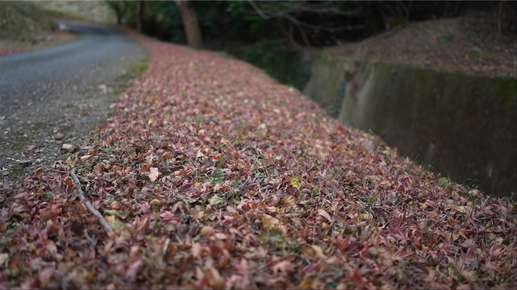 f:id:dreadnote666:20201222100801p:image f:id:dreadnote666:20201222100801p:image