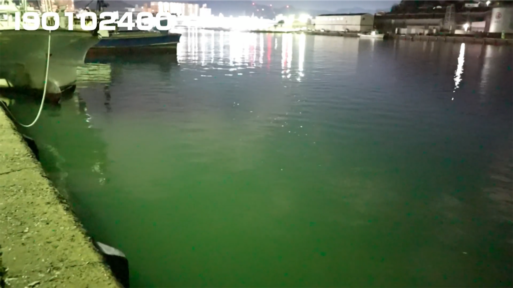 f:id:dreadnote666:20201222101024p:image f:id:dreadnote666:20201222101024p:image