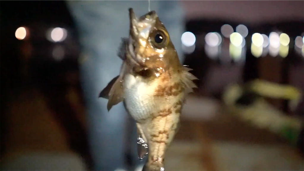 f:id:dreadnote666:20201224114246p:image