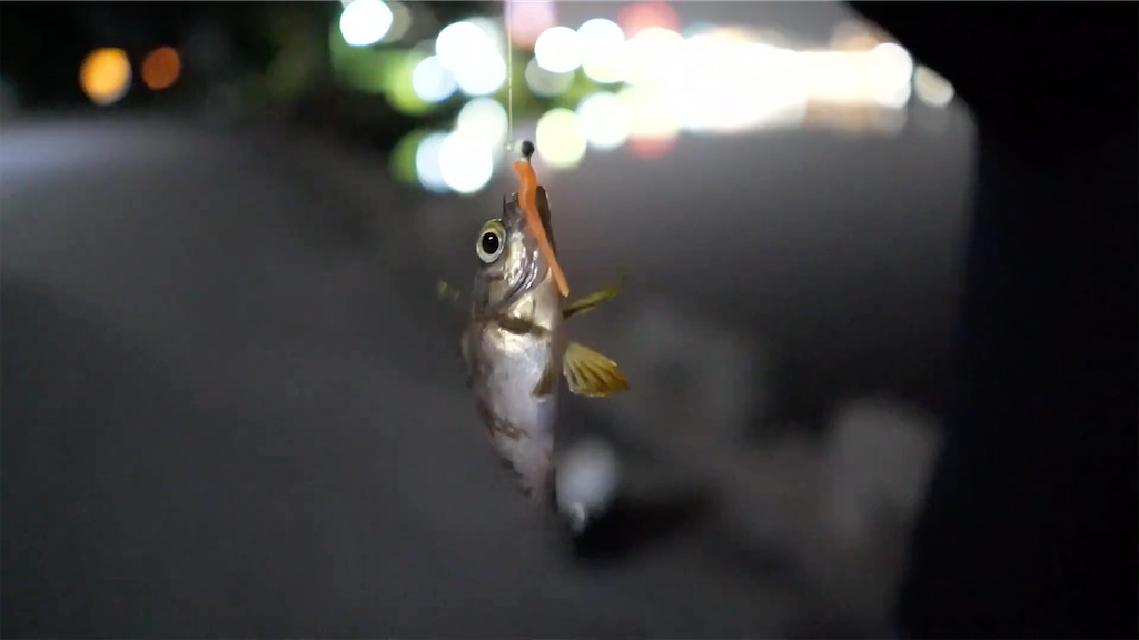 f:id:dreadnote666:20201224114409p:image