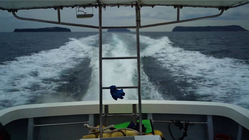 f:id:dreadnote666:20201228132306p:image f:id:dreadnote666:20201228132306p:image