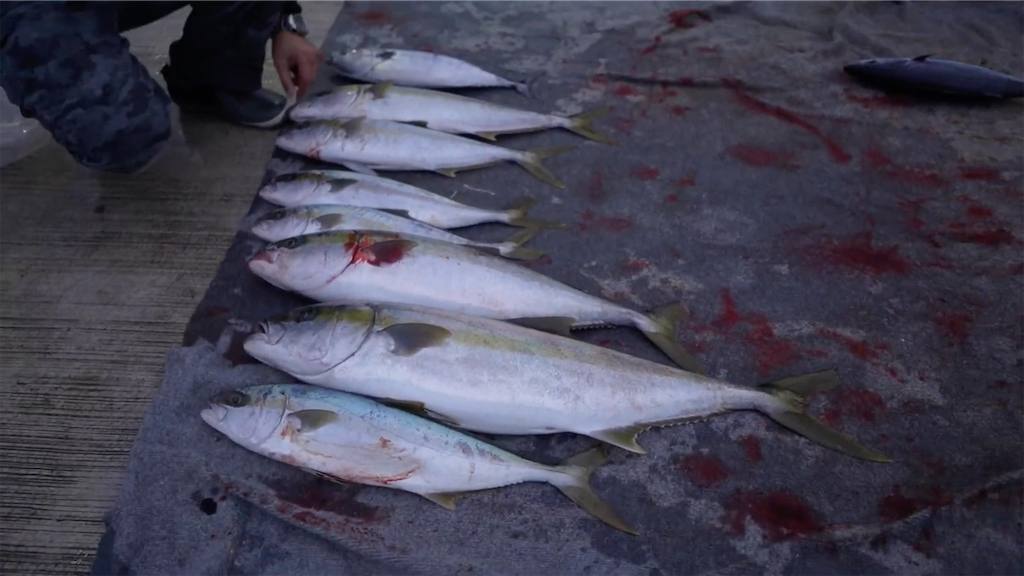 f:id:dreadnote666:20201228132351p:image f:id:dreadnote666:20201228132351p:image