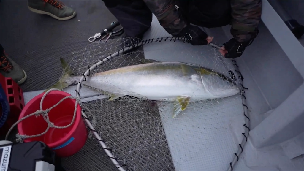 f:id:dreadnote666:20201228132438p:image f:id:dreadnote666:20201228132438p:image