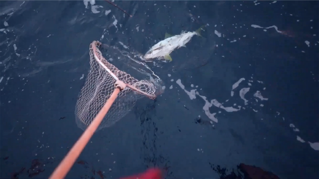 f:id:dreadnote666:20201228132501p:image f:id:dreadnote666:20201228132501p:image