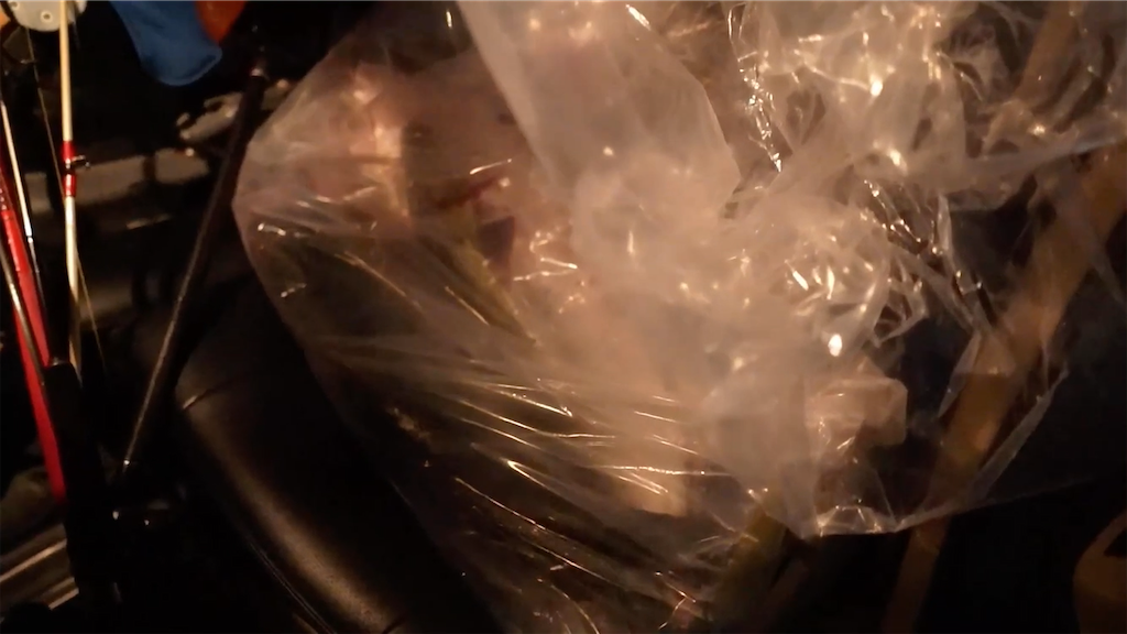 f:id:dreadnote666:20201228132516p:image f:id:dreadnote666:20201228132516p:image