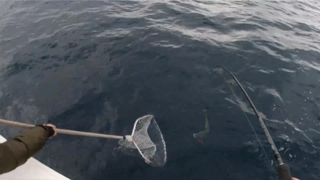 f:id:dreadnote666:20201228132632p:image f:id:dreadnote666:20201228132632p:image