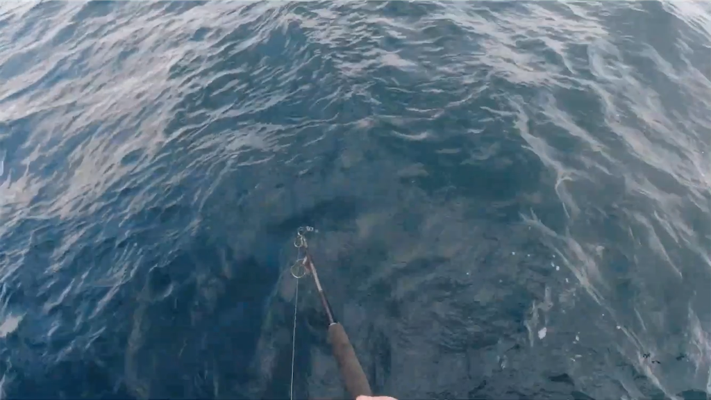 f:id:dreadnote666:20201228132822p:image f:id:dreadnote666:20201228132822p:image