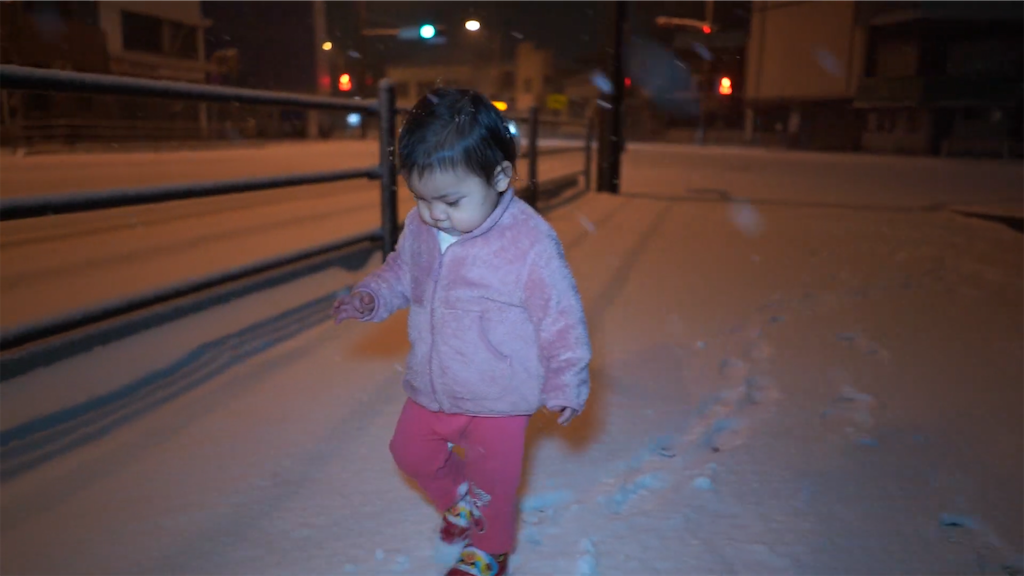 f:id:dreadnote666:20210111113341p:image