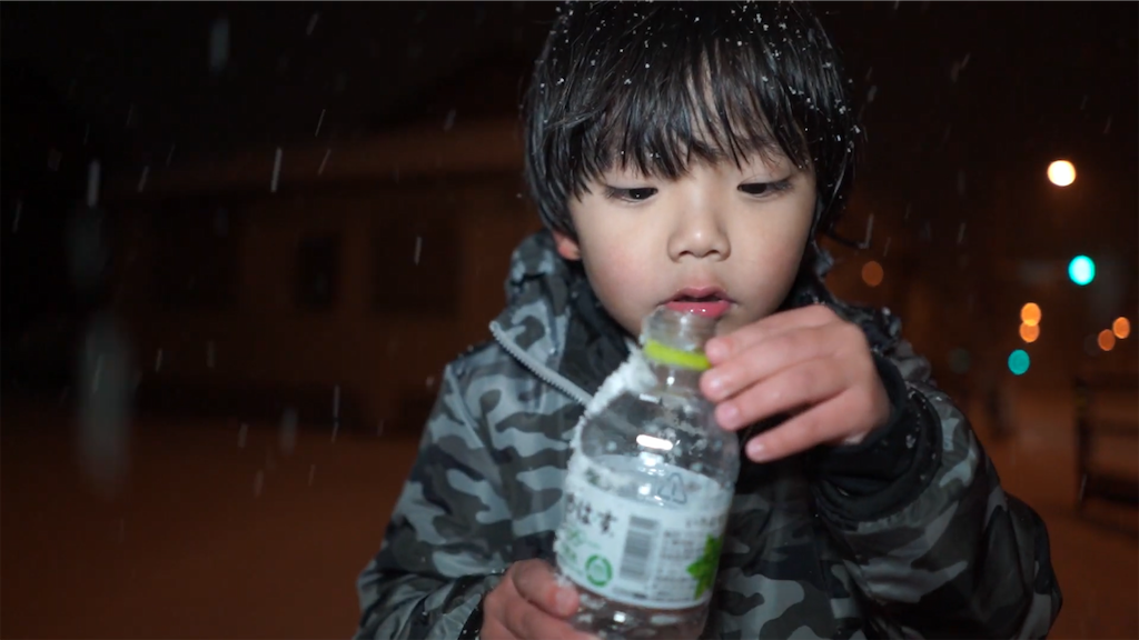 f:id:dreadnote666:20210111113419p:image