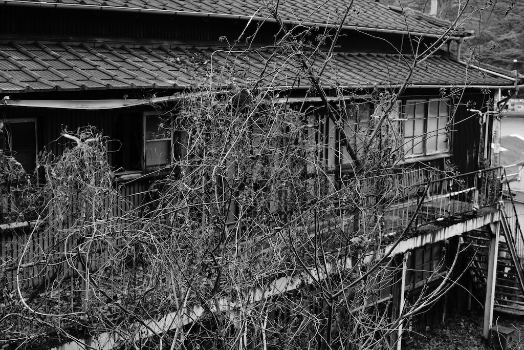 f:id:dreadnote666:20210121110227j:image