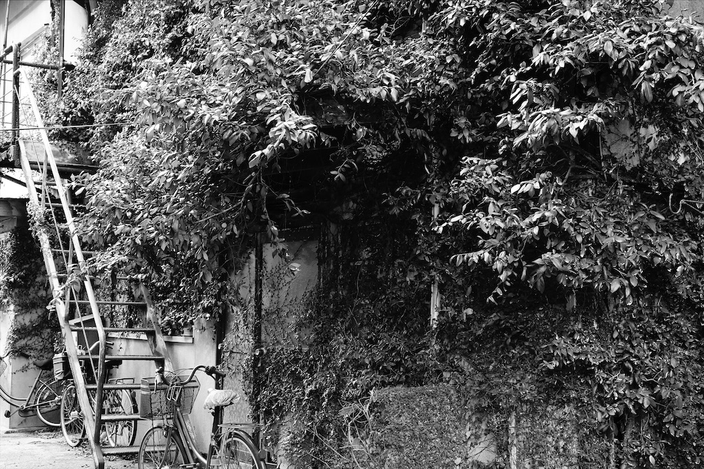 f:id:dreadnote666:20210121110232j:image