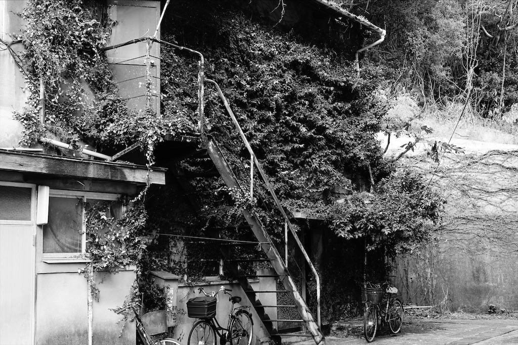 f:id:dreadnote666:20210121110238j:image