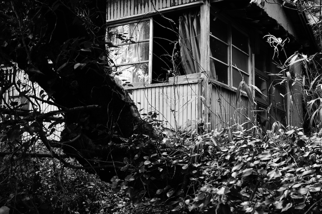 f:id:dreadnote666:20210121110248j:image