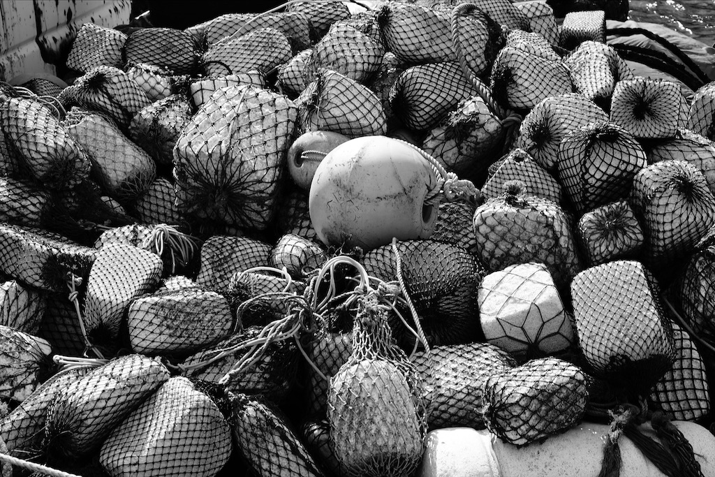 f:id:dreadnote666:20210121110320j:image