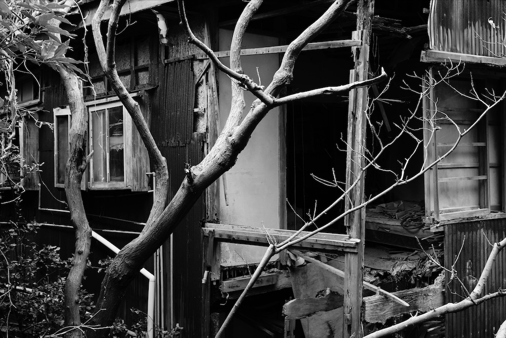 f:id:dreadnote666:20210121110324j:image