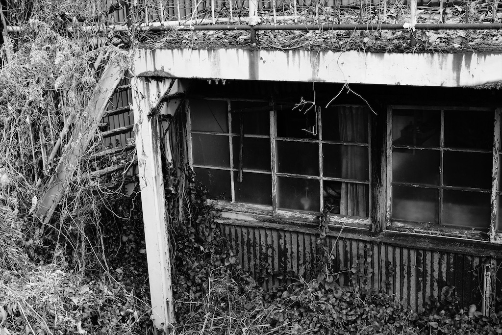 f:id:dreadnote666:20210121110330j:image