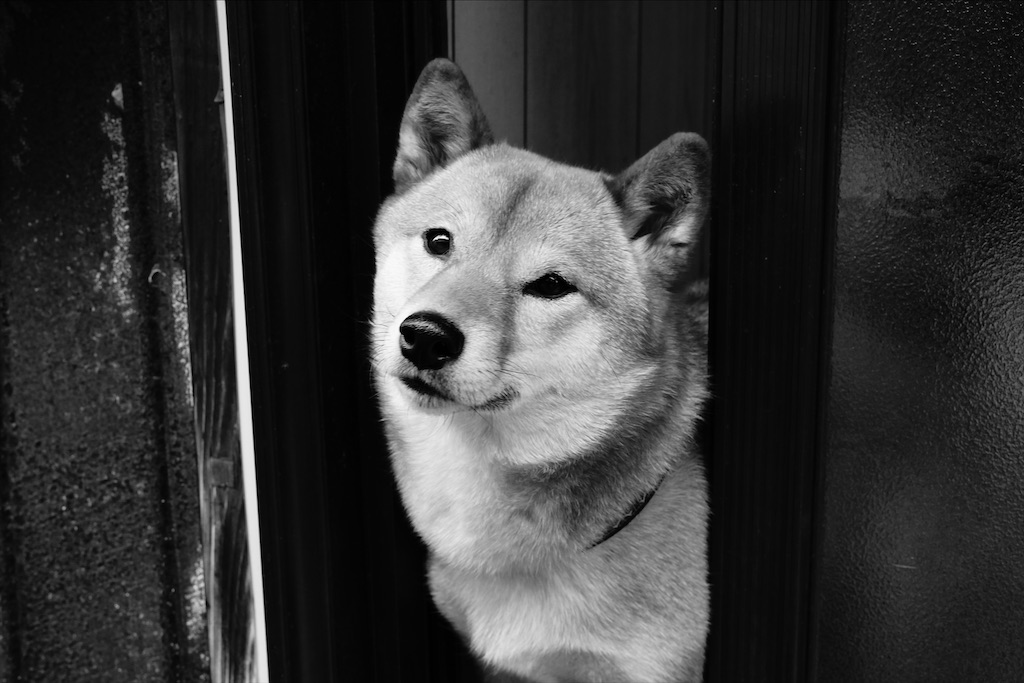 f:id:dreadnote666:20210121110427j:image