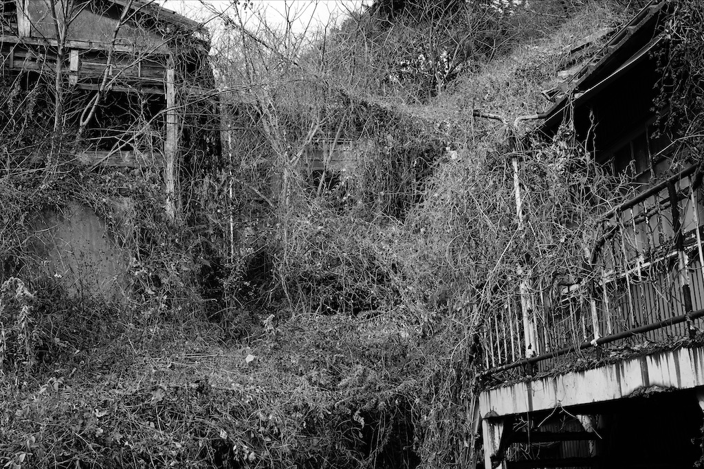 f:id:dreadnote666:20210121110432j:image