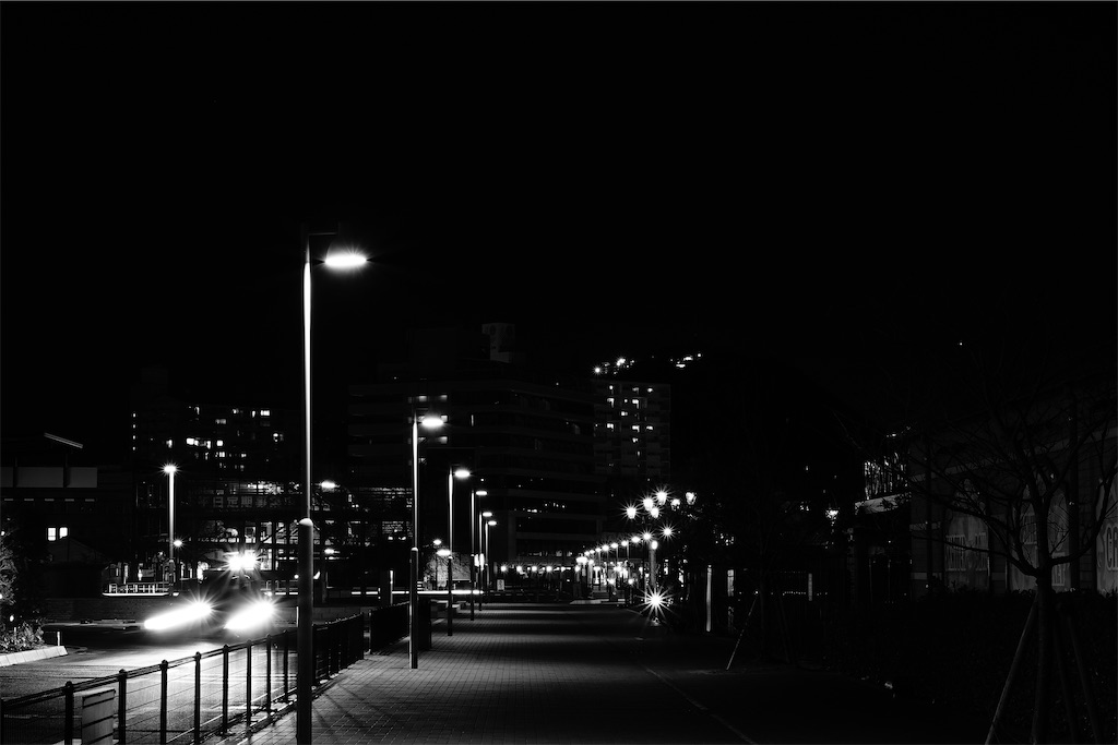 f:id:dreadnote666:20210129103636j:image