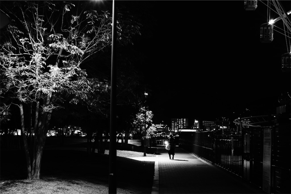 f:id:dreadnote666:20210129103826j:image