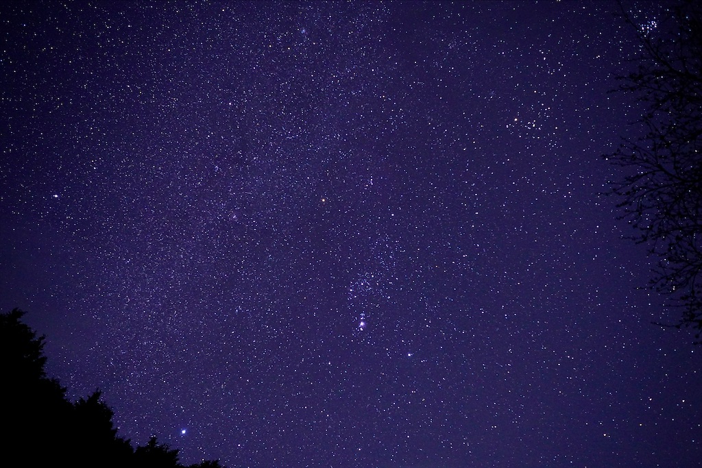 f:id:dreadnote666:20210208122906j:image