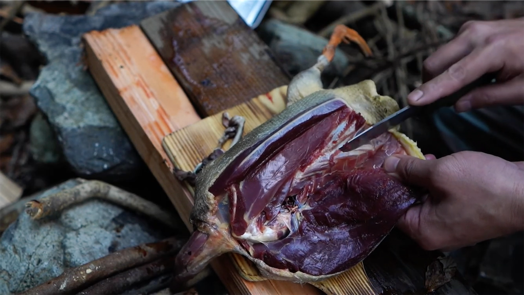 f:id:dreadnote666:20210216122933p:image