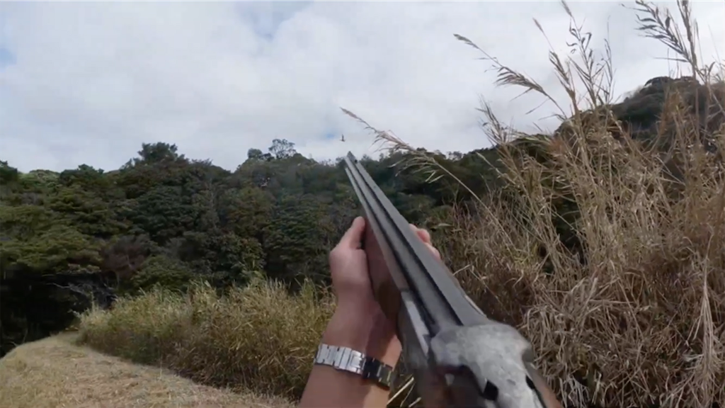 f:id:dreadnote666:20210217161509p:image