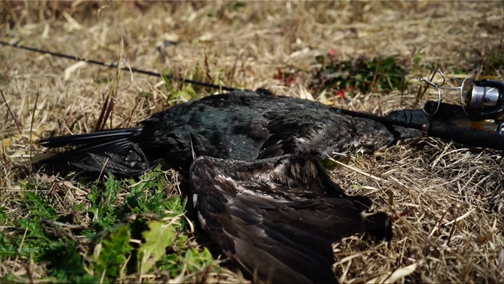 f:id:dreadnote666:20210217161716p:image