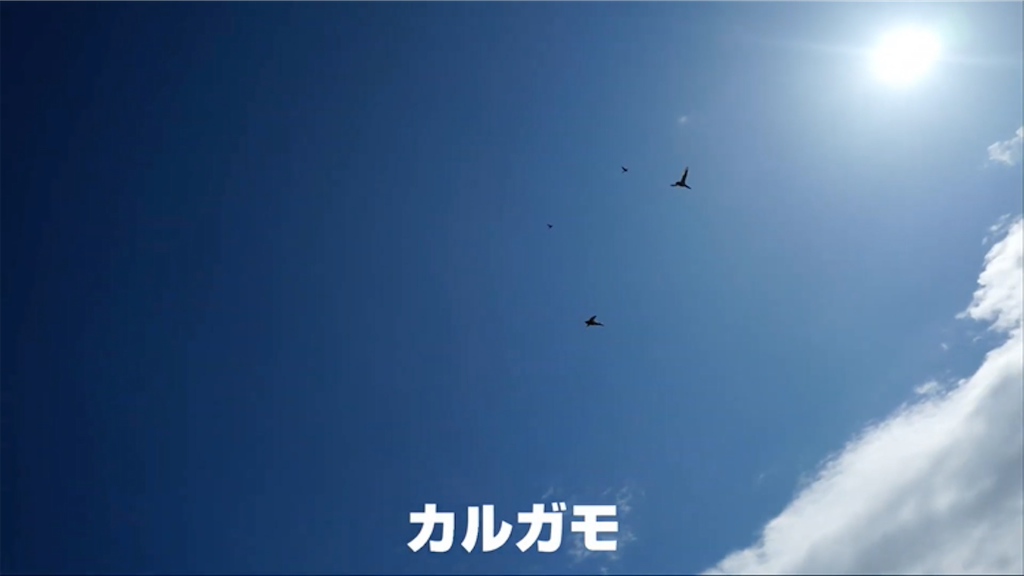 f:id:dreadnote666:20210217161804p:image