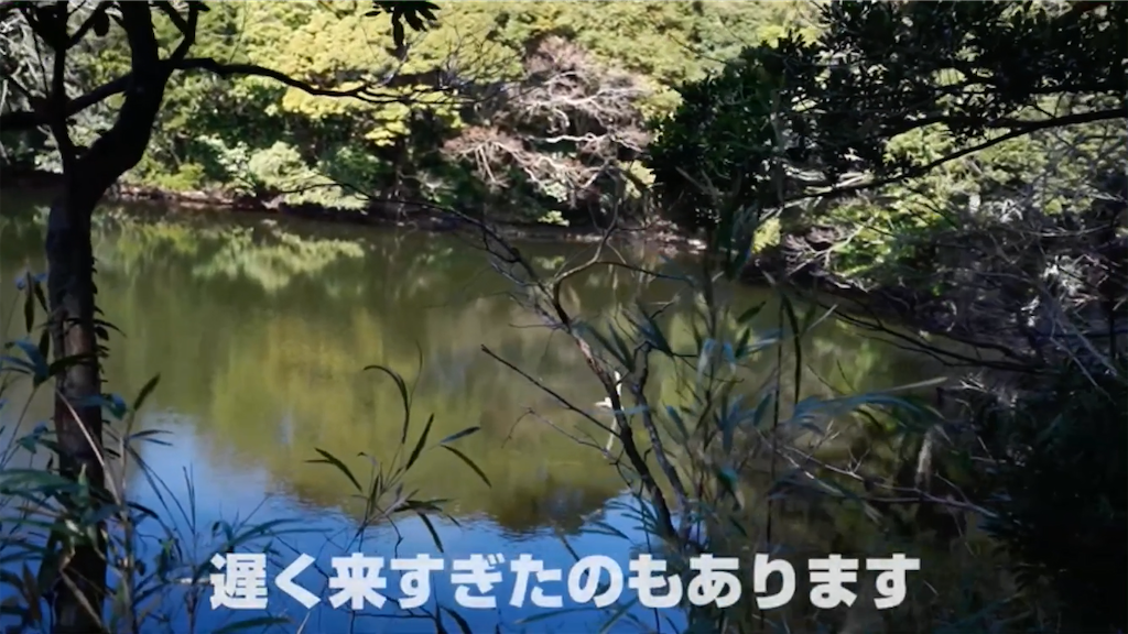 f:id:dreadnote666:20210217161914p:image
