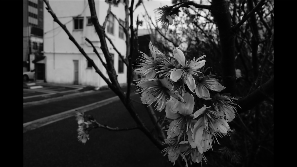 f:id:dreadnote666:20210305123108p:image