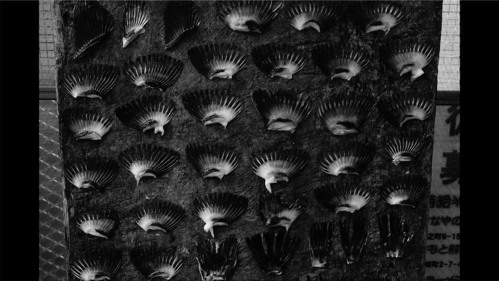 f:id:dreadnote666:20210310074317p:image