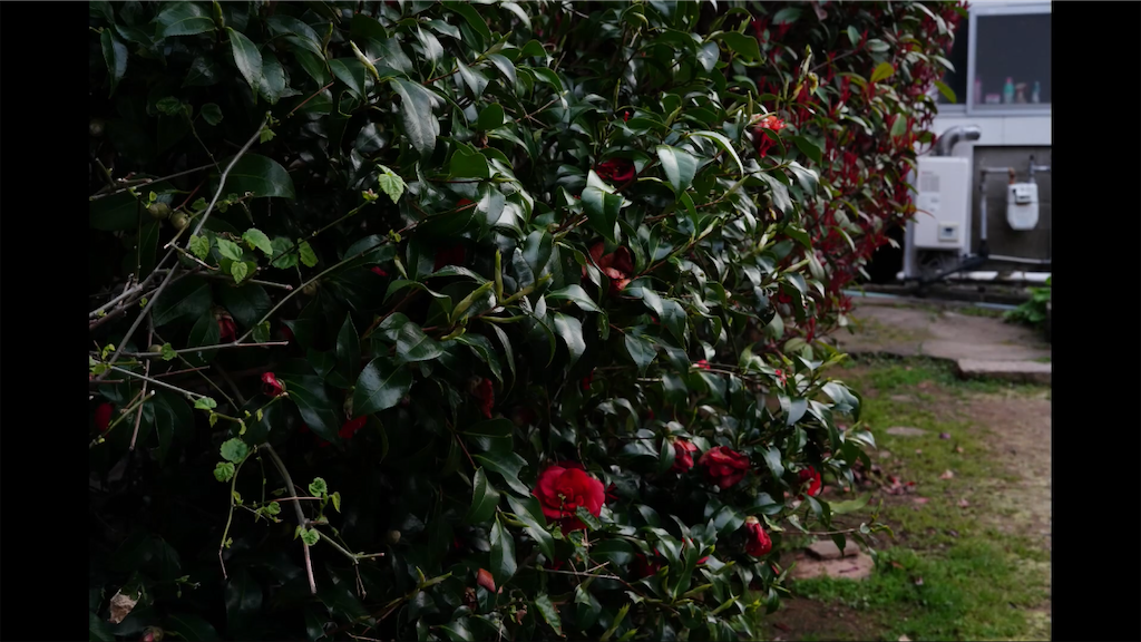 f:id:dreadnote666:20210310074423p:image