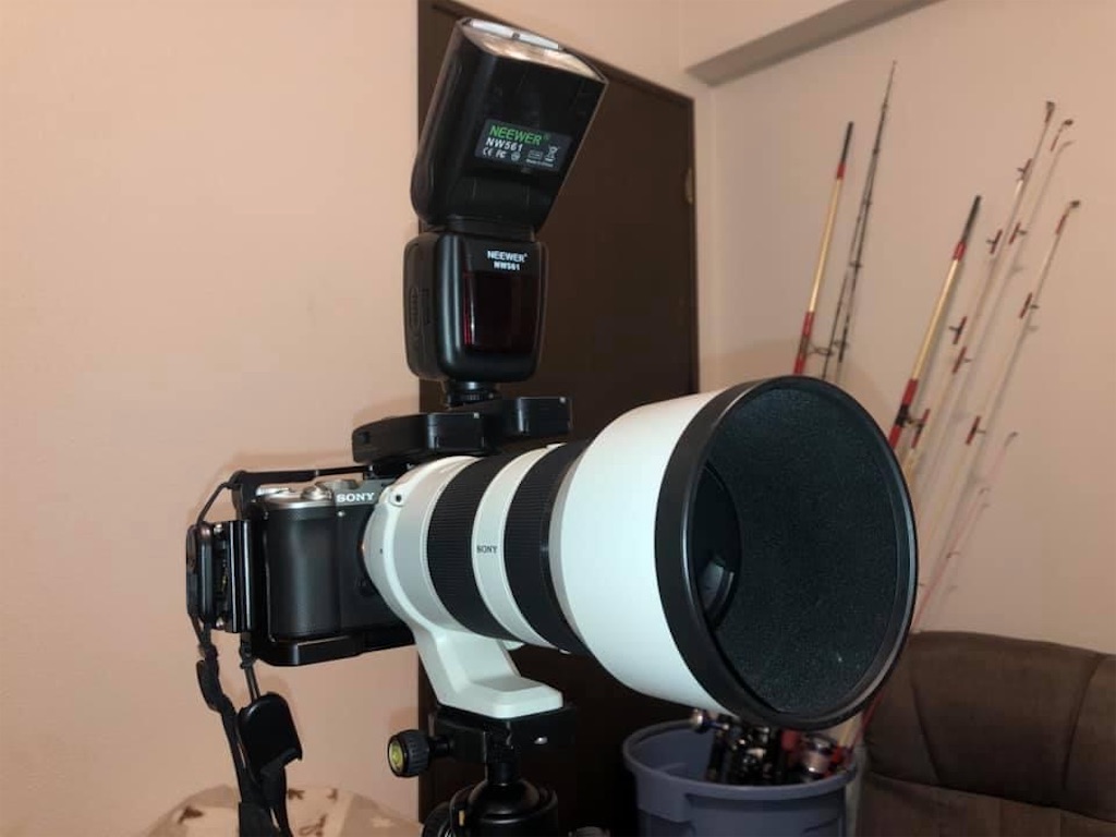 f:id:dreadnote666:20210316140747j:image f:id:dreadnote666:20210316140747j:image