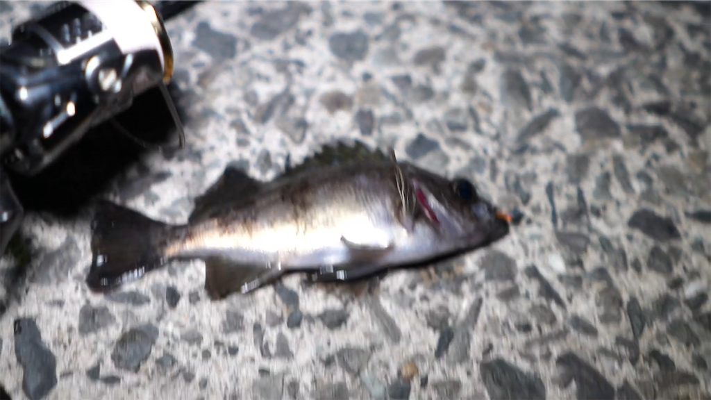 f:id:dreadnote666:20210322120905p:image f:id:dreadnote666:20210322120905p:image