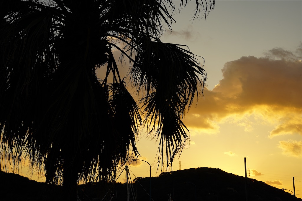 f:id:dreadnote666:20210323102632j:image f:id:dreadnote666:20210323102632j:image