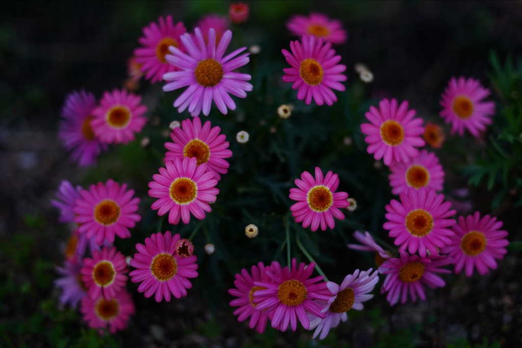 f:id:dreadnote666:20210323102650j:image f:id:dreadnote666:20210323102650j:image