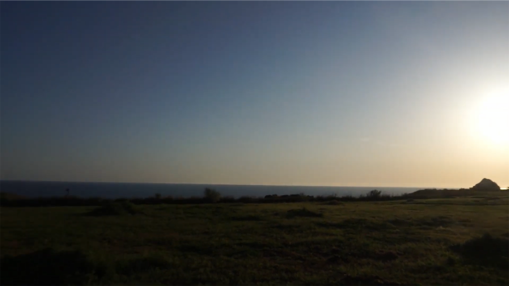 f:id:dreadnote666:20210417111906p:image f:id:dreadnote666:20210417111906p:image