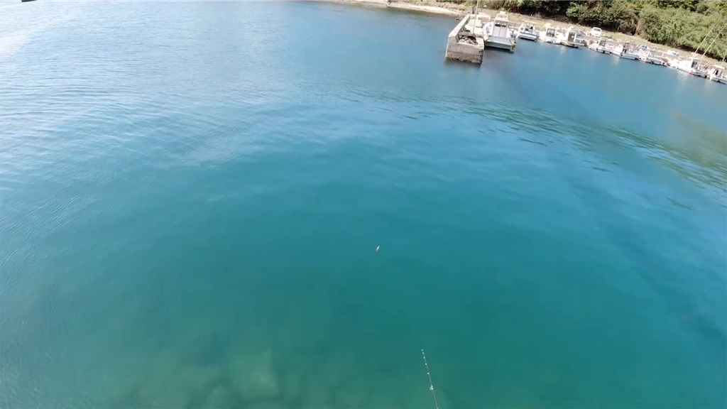 f:id:dreadnote666:20210430154745p:image