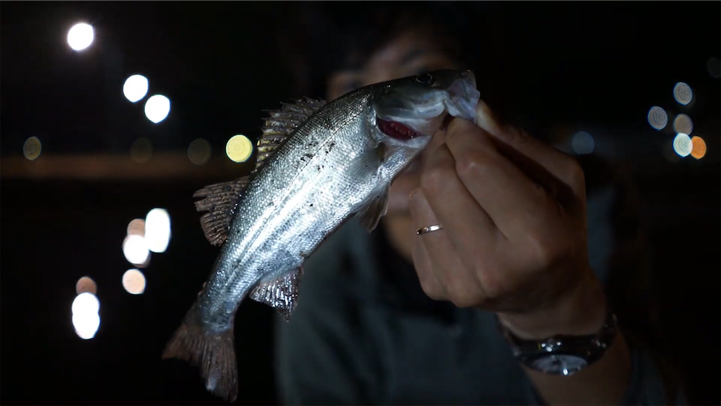 f:id:dreadnote666:20210513111250p:image