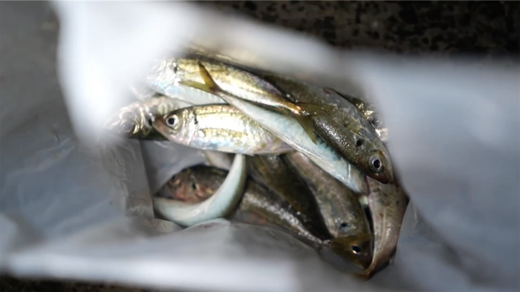 f:id:dreadnote666:20210517124342p:image