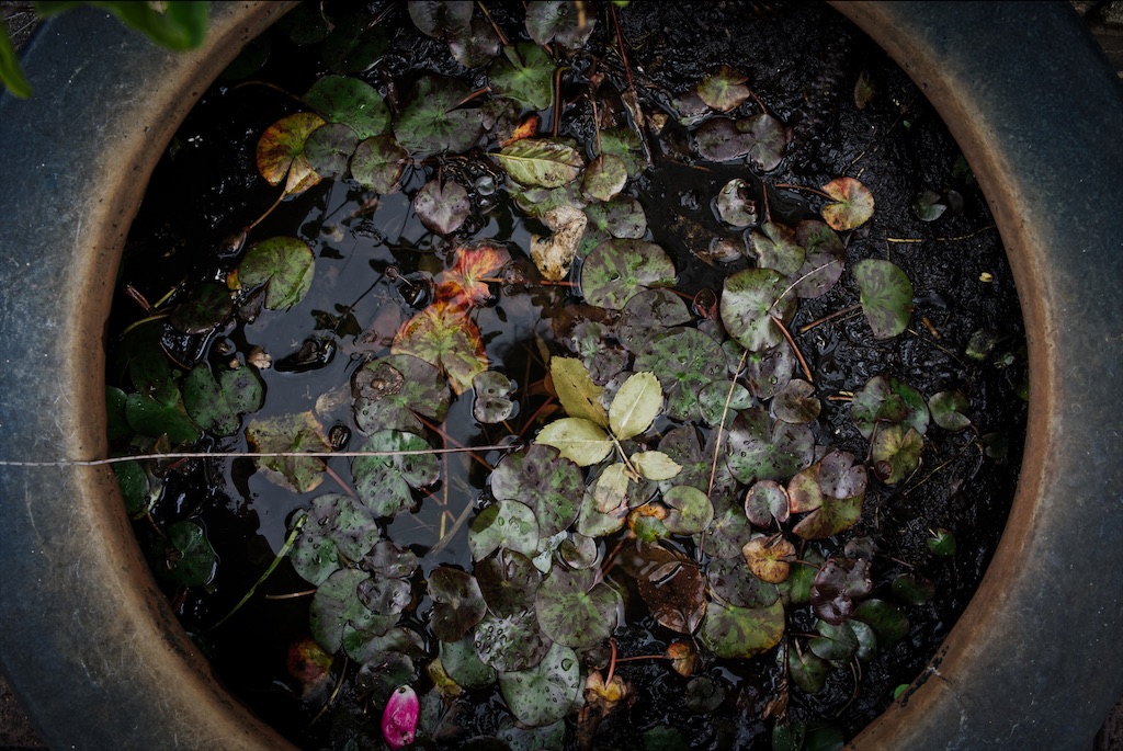 f:id:dreadnote666:20210519113522j:image f:id:dreadnote666:20210519113522j:image