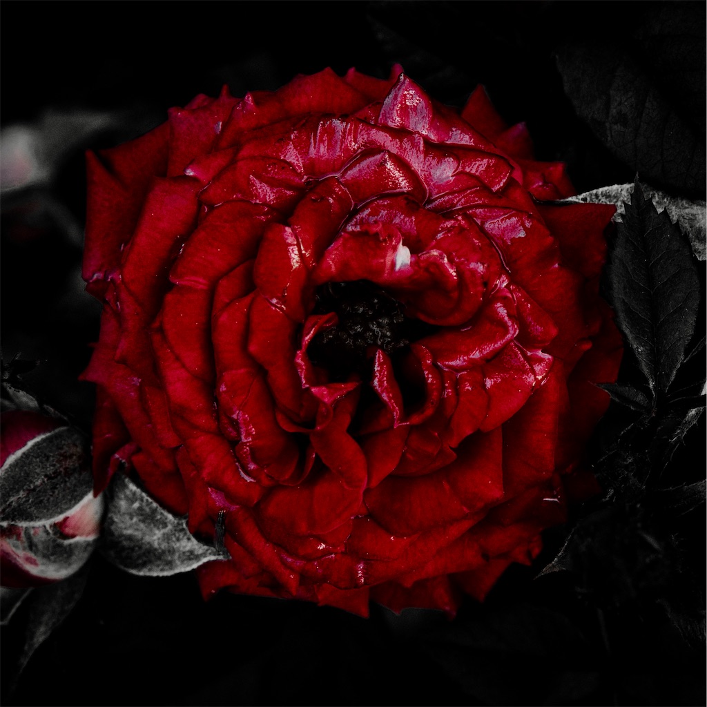 f:id:dreadnote666:20210519113526j:image f:id:dreadnote666:20210519113526j:image