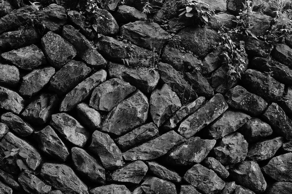 f:id:dreadnote666:20210519113552j:image f:id:dreadnote666:20210519113552j:image