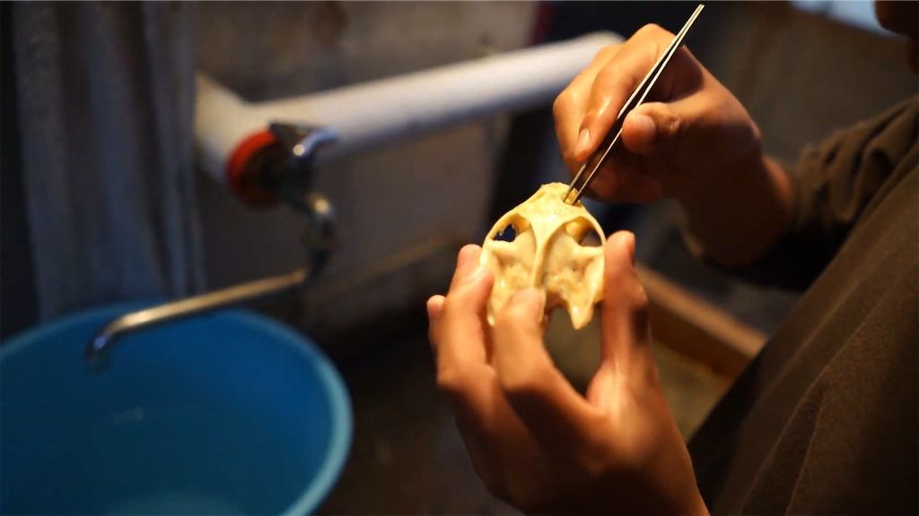 f:id:dreadnote666:20210601122041p:image