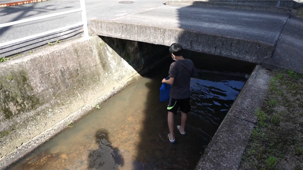 f:id:dreadnote666:20210601122049p:image