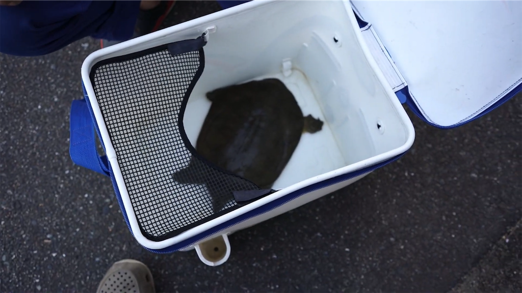 f:id:dreadnote666:20210601122138p:image